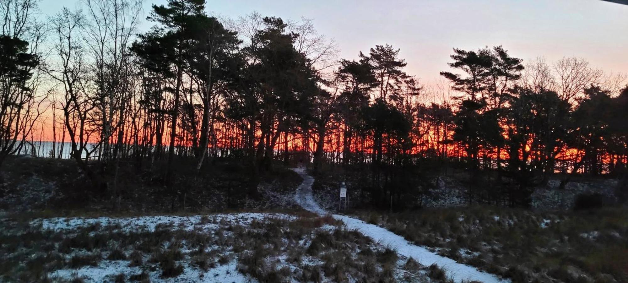 Prora - Treibgut *