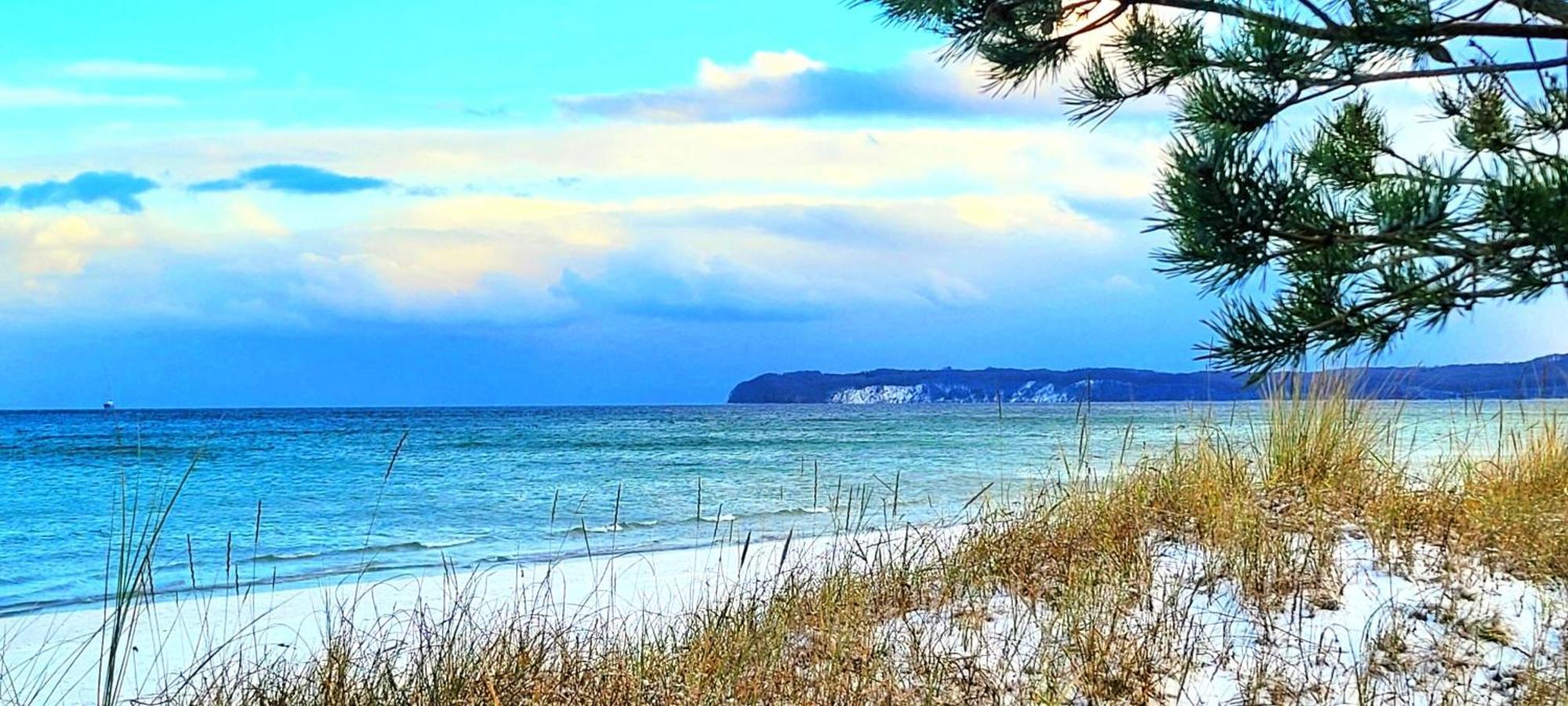 Prora - Treibgut Ostseebad Binz