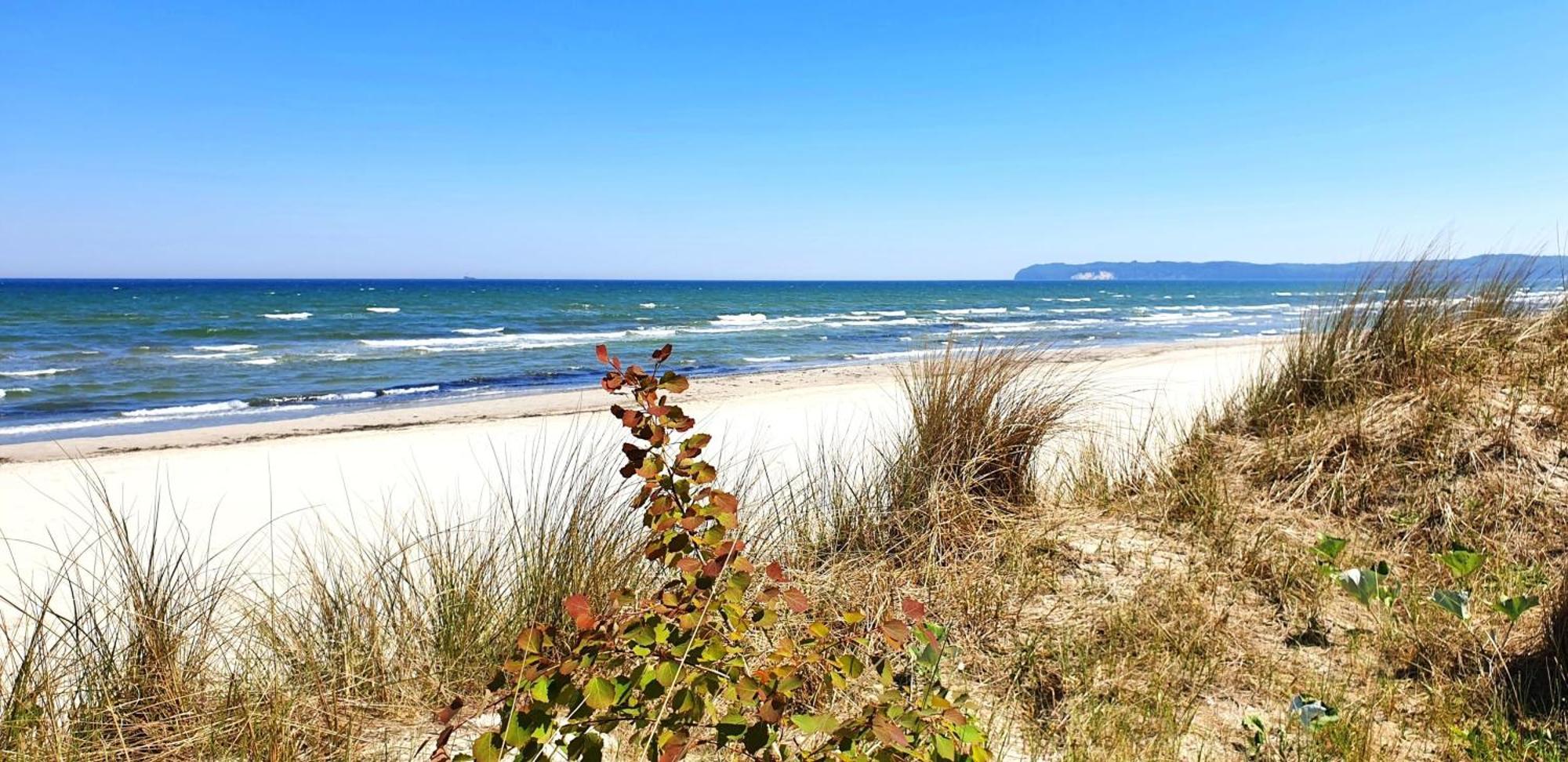 Prora - Treibgut * Ostseebad Binz